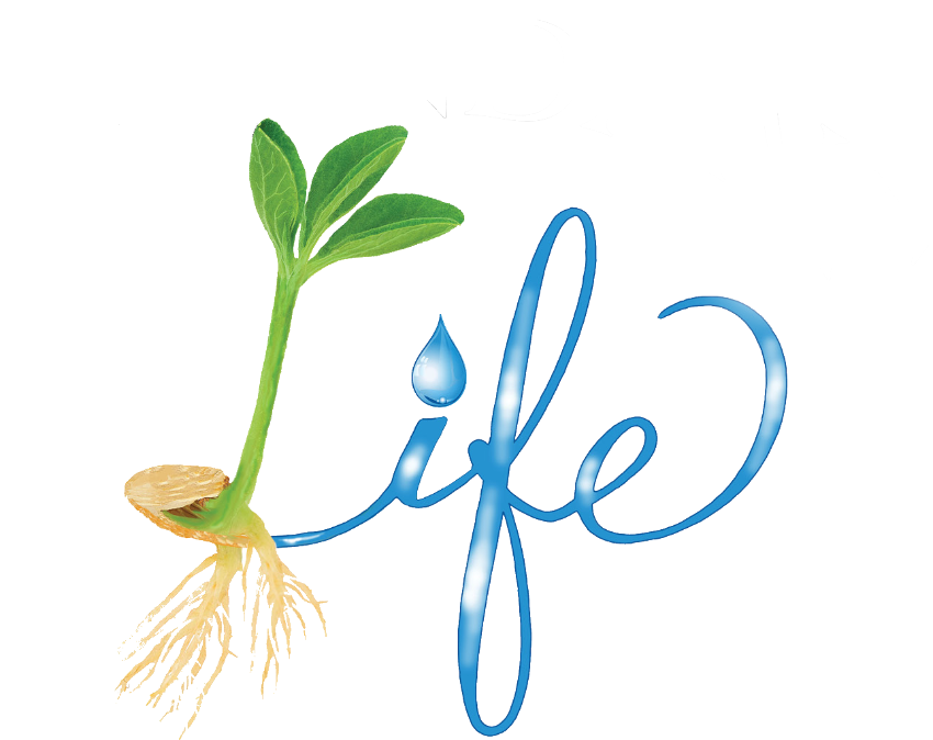 Abundant Life Church Logo